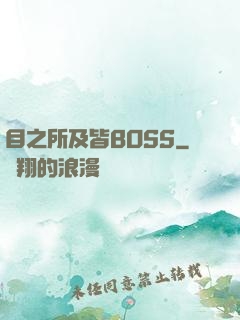 目之所及皆BOSS