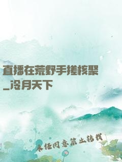 直播在荒野手搓核聚變