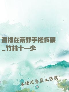 直播在荒野手搓核聚變