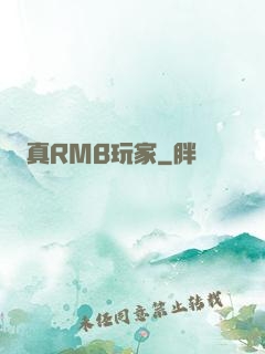 真RMB玩家