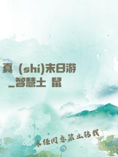 真實(shí)末日游戲