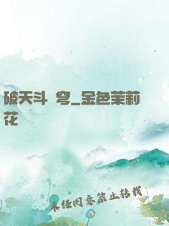 破天斗蒼穹