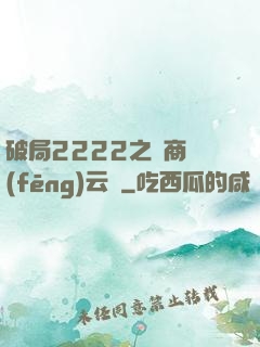 破局2222之電商風(fēng)云錄