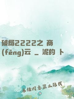 破局2222之電商風(fēng)云錄