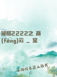 破局2222之電商風(fēng)云錄