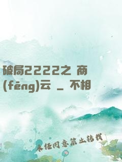 破局2222之電商風(fēng)云錄