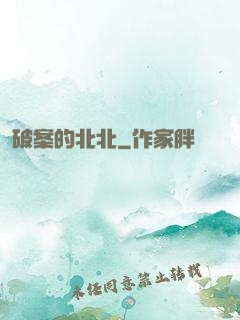 破案的北北