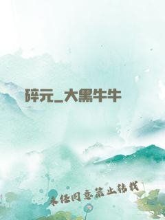 碎元