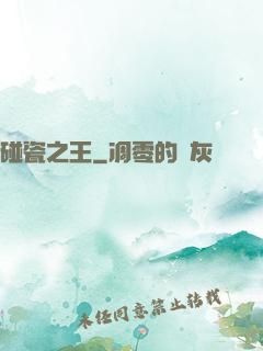 碰瓷之王