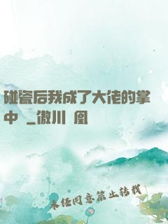 碰瓷后我成了大佬的掌中嬌