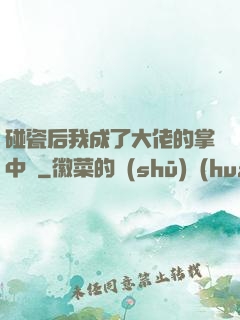 碰瓷后我成了大佬的掌中嬌