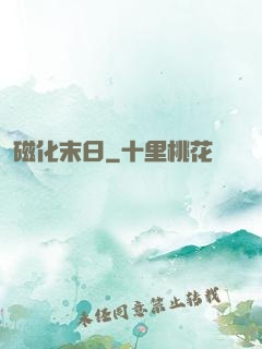 磁化末日