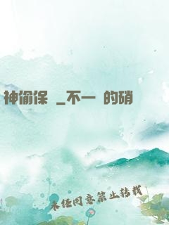 神偷保鏢