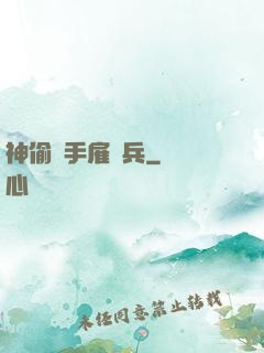 神偷殺手雇傭兵