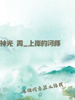 神光沖霄
