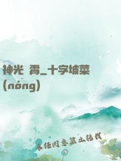神光沖霄