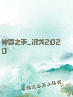 神奇之手