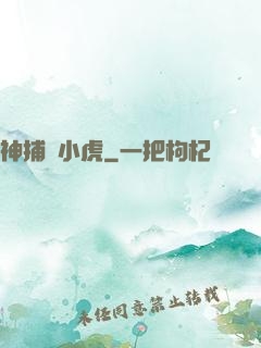 神捕聶小虎