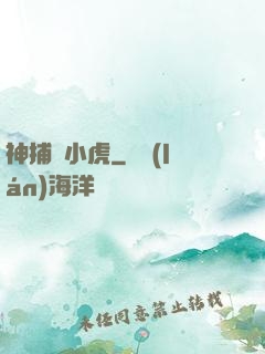 神捕聶小虎