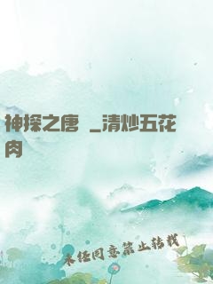 神探之唐銘
