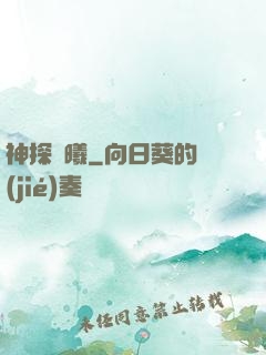 神探劉曦