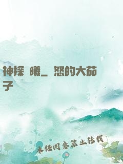 神探劉曦