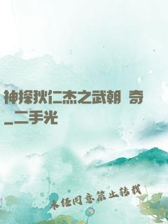 神探狄仁杰之武朝傳奇