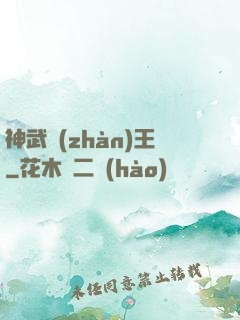神武戰(zhàn)王