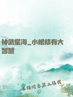 神武星海