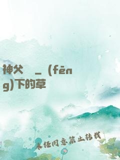 神父馬維