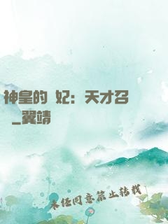 神皇的寵妃：天才召喚師