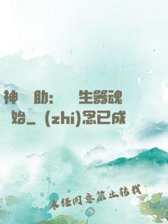神級輔助：從雙生器魂開始