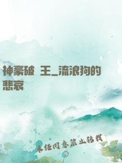 神豪破爛王