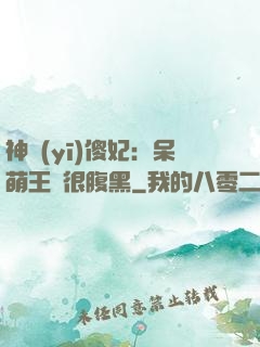 神醫(yī)傻妃：呆萌王爺很腹黑