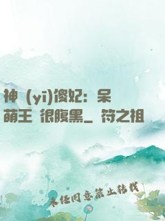 神醫(yī)傻妃：呆萌王爺很腹黑