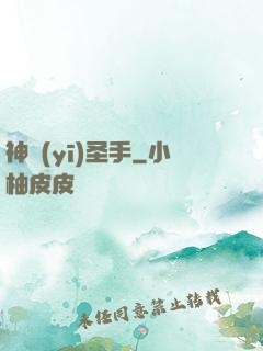神醫(yī)圣手