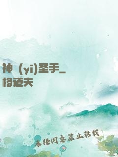 神醫(yī)圣手