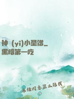 神醫(yī)小圣僧