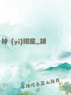 神醫(yī)磁皇