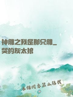 神雕之我是那只雕