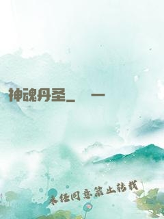 神魂丹圣