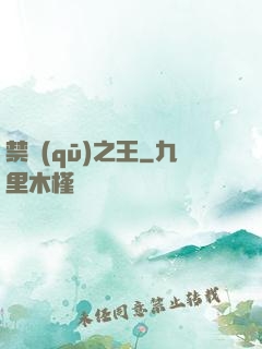 禁區(qū)之王