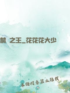 禁術之王