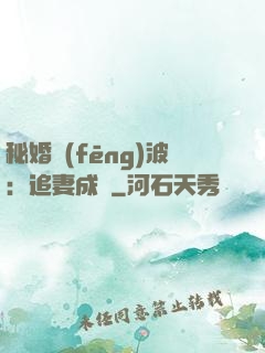 秘婚風(fēng)波：追妻成癮