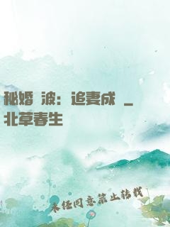 秘婚風波：追妻成癮
