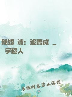 秘婚風波：追妻成癮