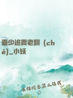 秦少追妻老翻車(chē)