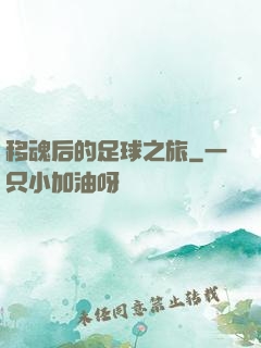 移魂后的足球之旅