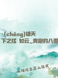 稱(chēng)雄天下之猛將如云