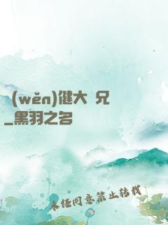 穩(wěn)健大師兄